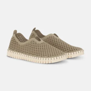 Instappers TULIP3275 beige zool | Coriander Pearled Ivory